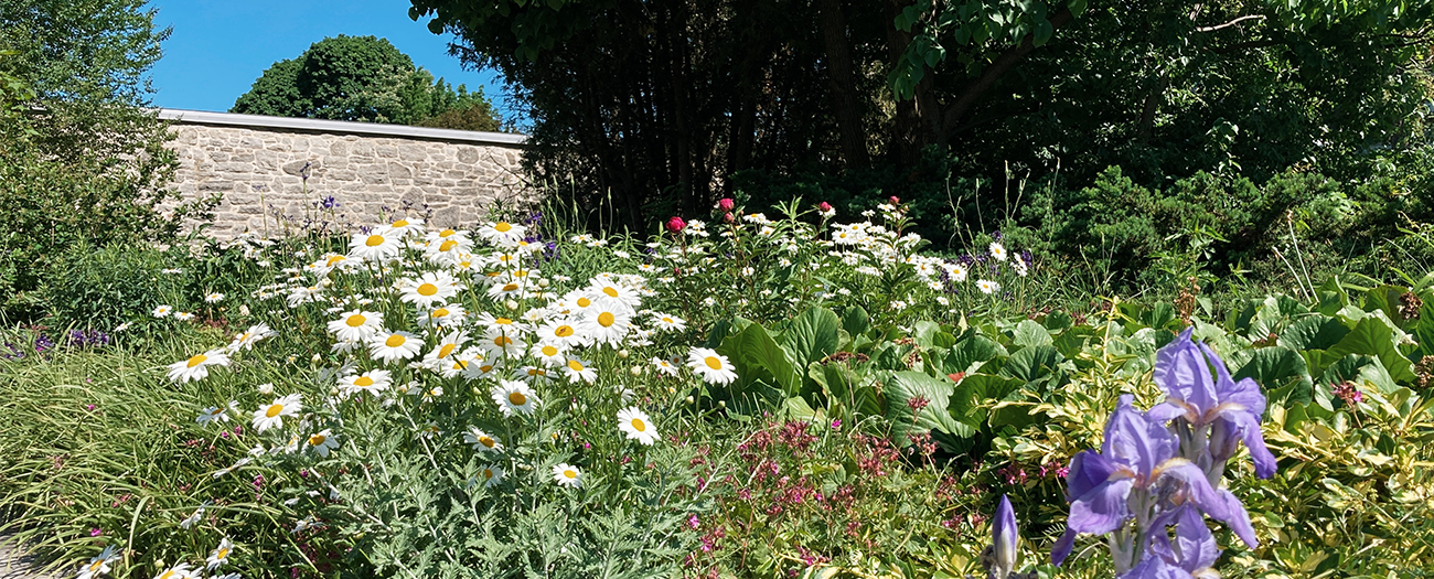 circuit; jardin; hospitalières; hôtel-dieu; montréal; visite